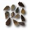 Image result for Traditional Arrowhead
