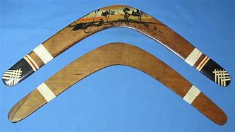 Image result for Real Boomerang