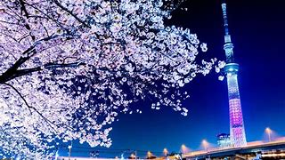 Image result for Japanese Places Near Me