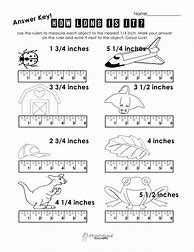 Image result for Measuring Objects with a Ruler in Cm Worksheet
