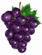 Image result for A Grape PNG