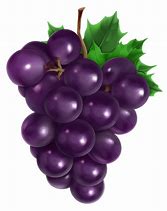Image result for Grapes No Background