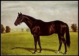 Image result for Bold Ruler Horse Painting