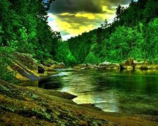 Image result for Nature Lock Screens for PCs