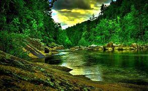 Image result for nature full screen wallpapers