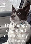 Image result for Therapy Dog Meme