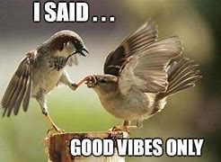 Image result for Good Vibes Dude Meme