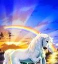 Image result for Rainbow Unicorn Canvas Art