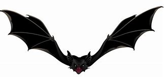 Image result for Abstract Bat Vector
