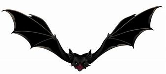 Image result for Brushie Bat