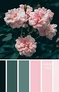 Image result for Pink and Green Color Combinations