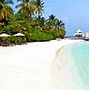 Image result for Tropical Island Maldives
