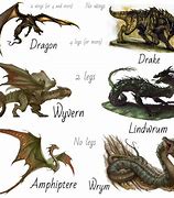 Image result for Are Wyverns Dragons