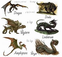 Image result for Wyvern Animal