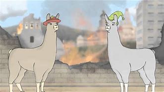 Image result for Llama Cute with Hats