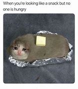 Image result for Baked Potato Cat Meme