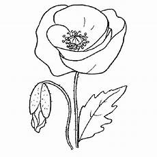 fiori da disegnare 29 disegni fiori da colorare fiori da disegnare 29 disegni fiori da colorare