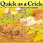 Image result for Quick as a Cricket First Edition