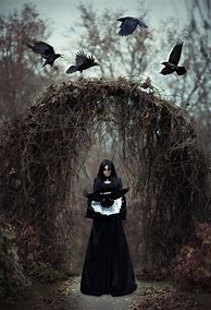 Image result for Dark Forest Gothic Witches