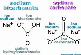 Image result for Carbonate De Soude