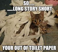 Image result for Ran Out of Toilet Paper Meme Cat