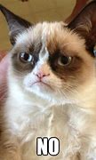 Image result for Grumpy Cat Saying No