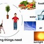 Image result for Clip Art What We Need to Survive