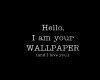 Image result for Funny Wallpapers for Chromebook