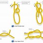 Image result for Rope Aircraft Tie Down