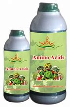 Image result for Amino Acid Liquid Fertilizer