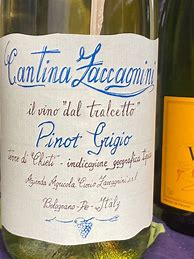 Résultat d’images pour Cantina Zaccagnini Pinot Grigio Vino dal Tralcetto Colline Pescaresi