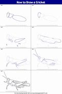 Image result for How to Draw Cricket