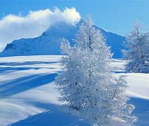 Image result for Snowy Background HD