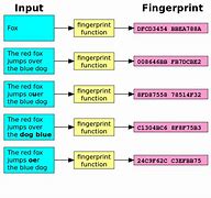 Image result for Fingerprint Parts Diagram
