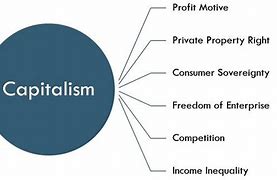 Image result for Capitalism Bubble Chart