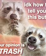 Image result for Funny Raccoon Meme Corn