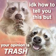 Image result for Raccoon This Big Meme