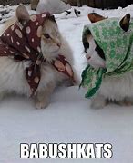 Image result for Russian Cat Hat Meme