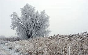 Image result for Winter Wallpaper 4K iPhone