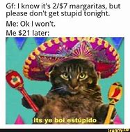 Image result for Meme Call Me El Stupido Cat