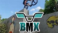 Image result for X Games BMX Dirt