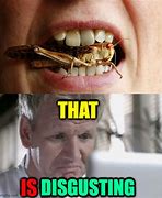 Image result for Cricket Bug Meme