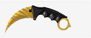 Image result for CS GO Karambit Tiger Tooth