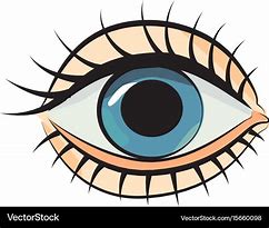 Image result for Cartoon Eye Designs