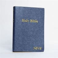 Image result for NIRV Blue Bible