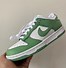 Image result for Fall Nike Low Dunks