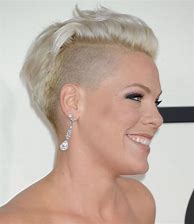 Image result for Pink Singer Alecia Moore Hair