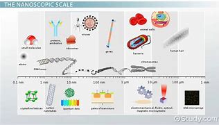 Image result for How Big Is 5 Nanometers