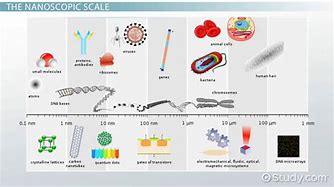 Image result for How Big Is a Nanometer