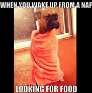 Image result for When You Wake Up From a Nap Meme